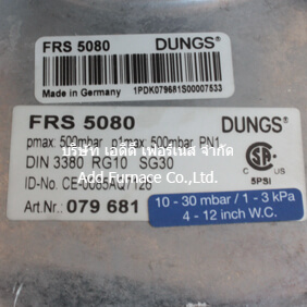 FRS 5080 Dungs